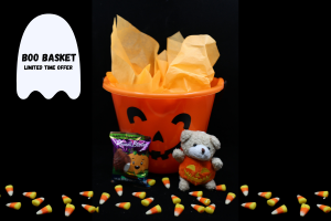 Boo Basket $14.99